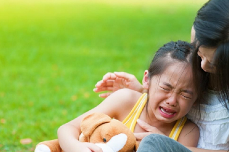 惠山区专业的儿童情商培训价格