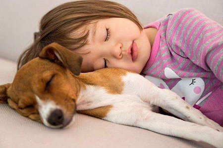 苏州专业的情绪管理价格