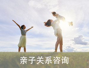 亲子关系咨询：通过专业指导帮助家长与孩子改善沟通、解决矛盾、建立健康关系的服务